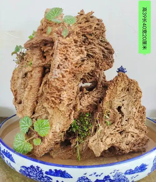 吸水石原石上水石假山盆景客厅新流水装饰摆件造景真石头 巧克力色