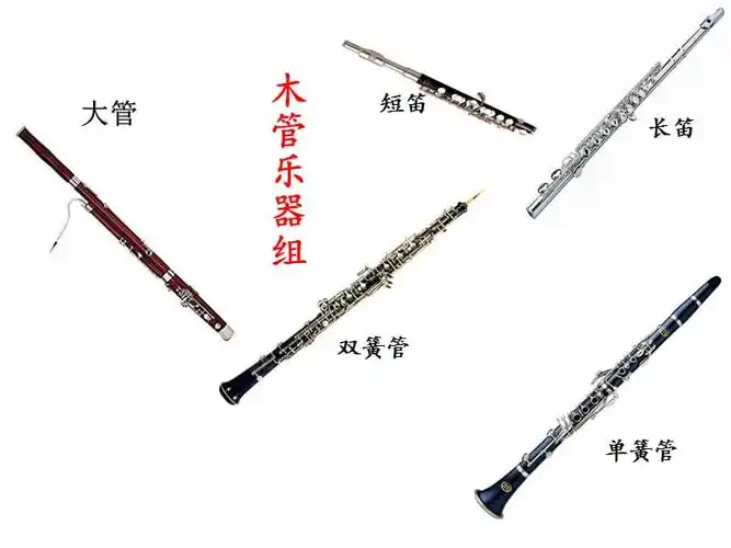 西洋管弦乐器2