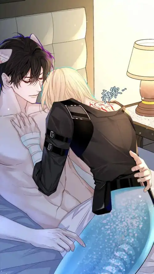 人鱼陷落,白楚年,兰波