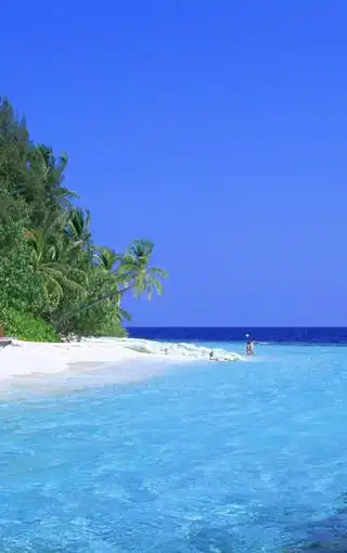 阳光沙滩高清手机壁纸