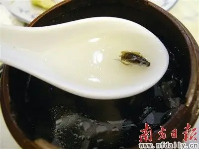 市民外出就餐 汤里吃出蟑螂