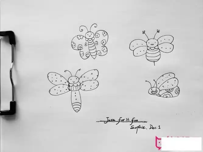 夏天的动物植物简笔画