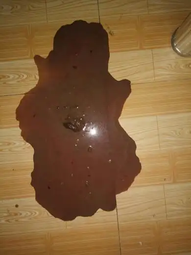 狗狗得了细小今天早上突然拉成这样 是不是病情恶劣了?