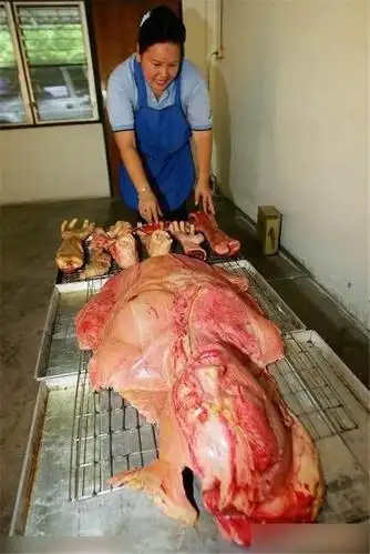 奇闻!这家面包店售卖人肉面包,敢看吗