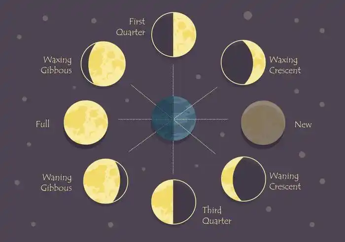 这个矢量形式的月相可以作为演示文稿或其他