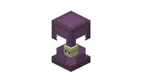 我的世界潜影贝怎么打 潜影贝壳有什么用