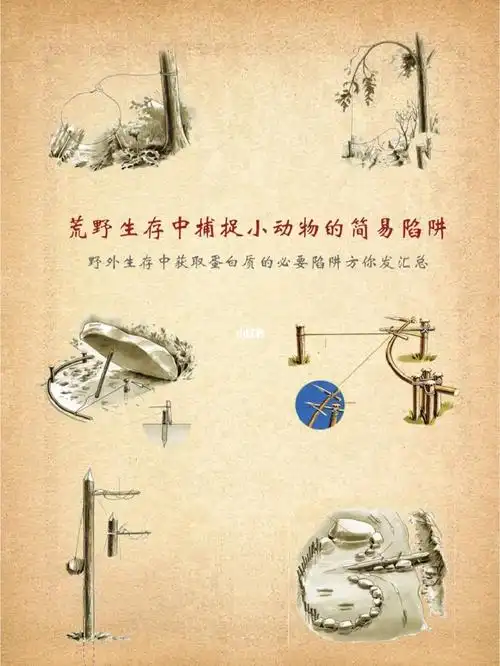 荒野生存中捕捉小动物的简易陷阱