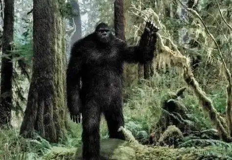 大兴安岭突现野人行径,抓捕后意外发现世外文明,传说生物被活捉