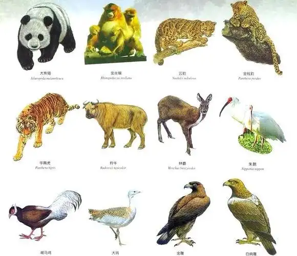 在陆地上的生物基本上都只生活在陆地的表面,即便是生活在地下的动物