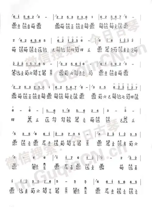 云水禅心王先宏订指法