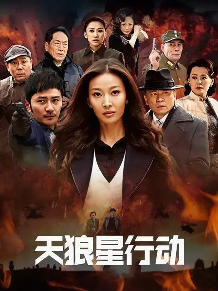 《天狼星行动》资料—中国—电视剧—优酷网,视频高清在线观看—又名