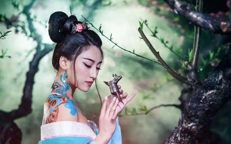 高贵美艳的古代妃子