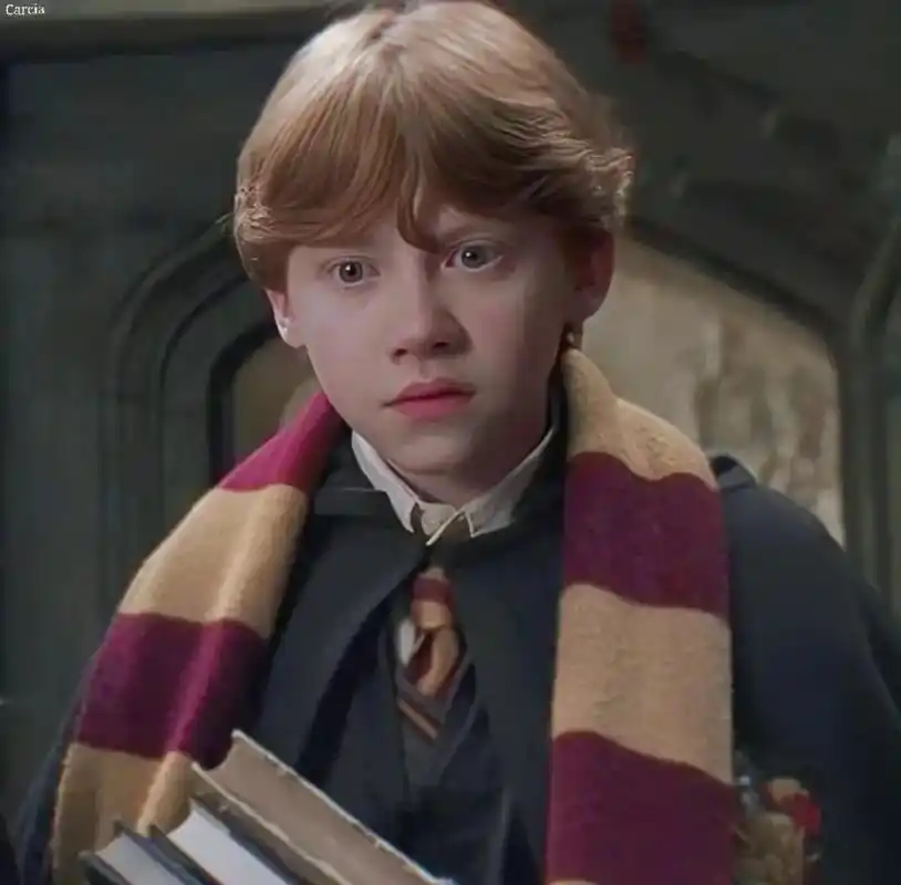 哈利波特头像(罗恩) - 抖音