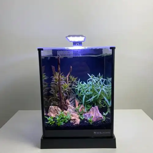 阿诺比超白玻璃鱼缸家用迷你小型水草缸造景套餐背侧滤静音水族箱