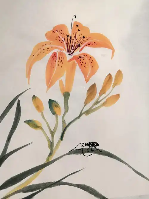 网课写意花鸟第八课《萱草》忘忧草—及工笔网课作业展(本周11月29日