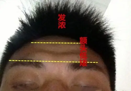 面相额头低矮发又浓早年艰辛不用说运到晚年方清闲