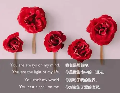 如何用英语表达或回应爱意?