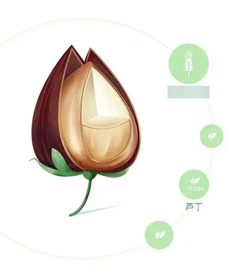 金龙鱼荞麦小麦粉1kg多用途荞麦面粉低脂粗粮面条馒头杂粮粉预拌粉