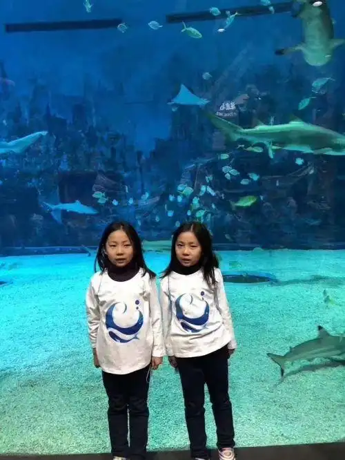 北京双胞胎姐妹青岛海边走失 裴元瑾裴元桐照片