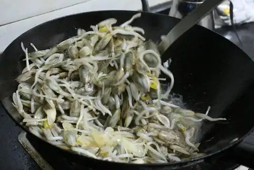 【认真做鱼系列122】舌形贝(海豆芽) - acfun弹幕