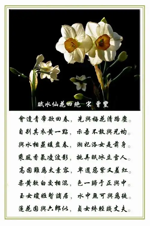 荣影《水仙花及古诗词欣赏》