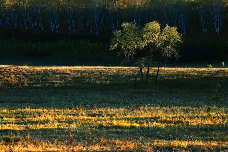 坝上- _老土_ - 图虫网 - 优质摄影师交流社区
