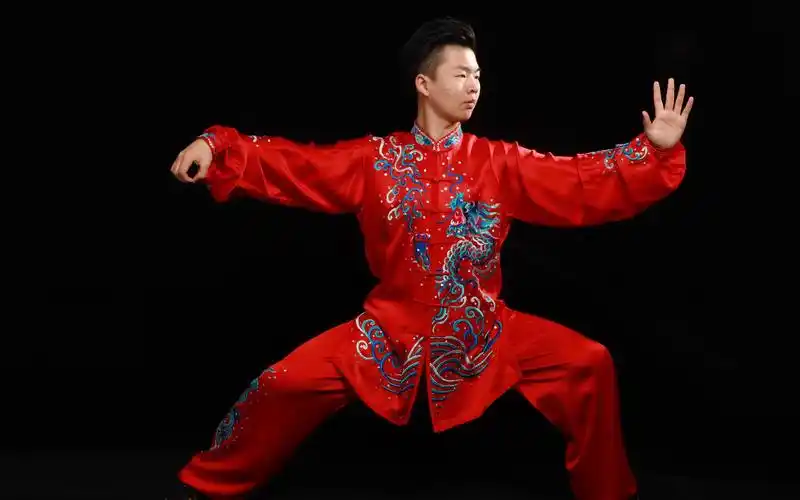 陈式太极拳56式竞赛套路背面演练