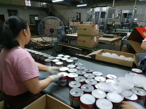 沅江罐头厂包装车间团聚第一集(上篇)