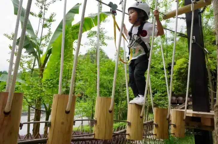 可以一起玩射箭,跳跳狐蹦床营,小猪快跑