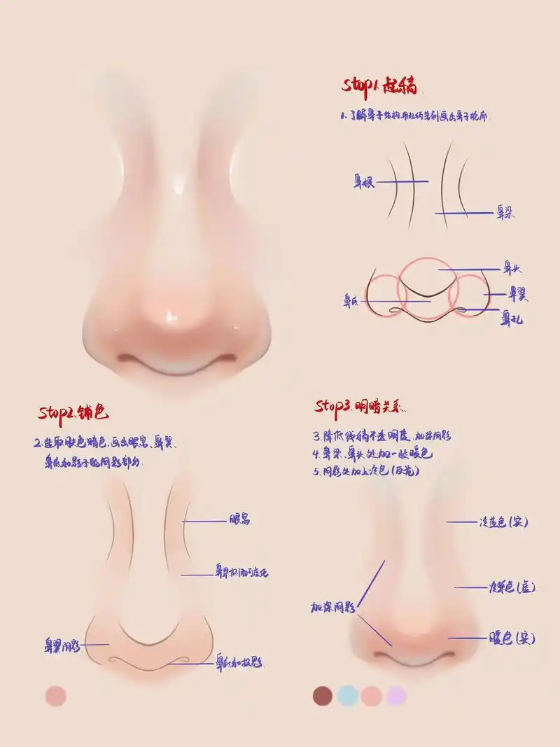 画鼻子教程.小白也能学会的鼻子画法,步骤很全,学不会把手寄给 - 抖音