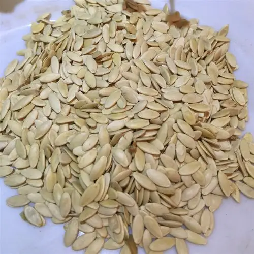 康源堂批发供应 黄瓜子 黄瓜籽 干净无杂质 量大价优