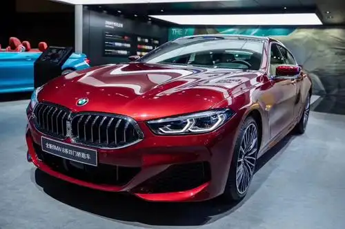 宝马"群星闪耀"2019南京车展