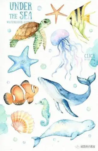 素材分享——海底世界主题水彩插画作品_海洋