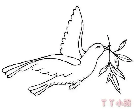 建国70周年儿童简笔画和平鸽