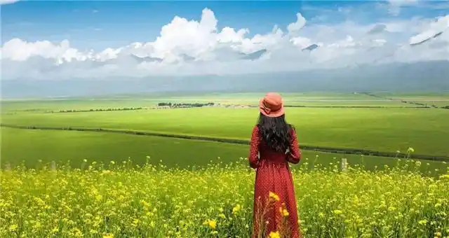 情绪越淡定,你的心态会越淡定从容