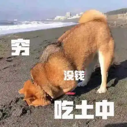 基金贫穷表情包