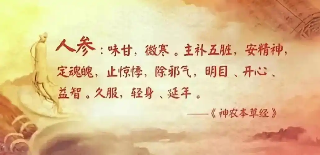 人参是"百药之长",自古就被称为"上品",据《神农本草经》记载:久服