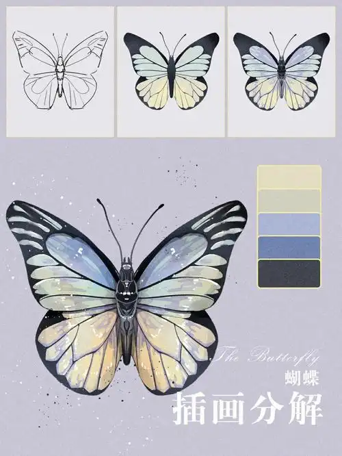 小物件插画分解丨蝴蝶