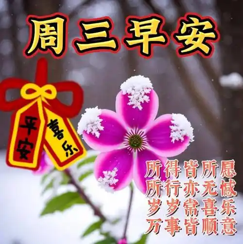 周三早上好最新版漂亮星期三早安祝福语表情图片大全问候语段句子