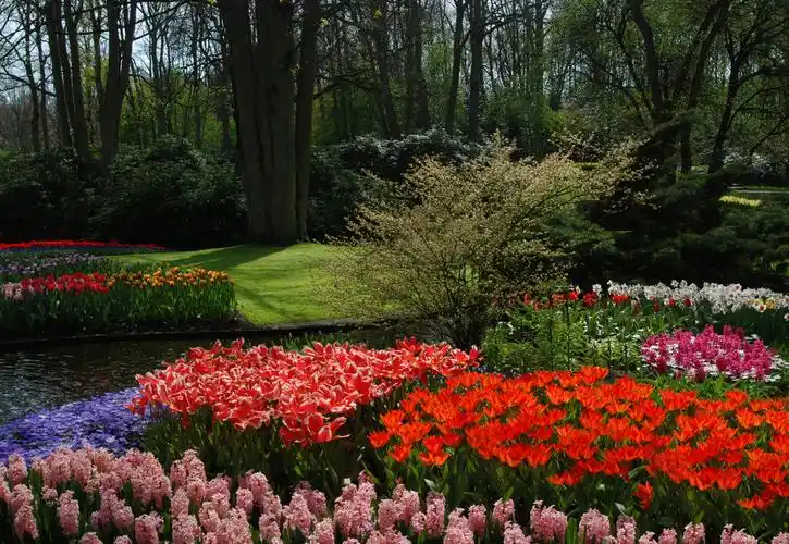花草图片_花草图片大全_花草图片下载