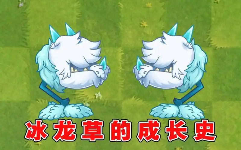 植物大战僵尸:三草之首的冰龙草,1至5阶提升有多大?