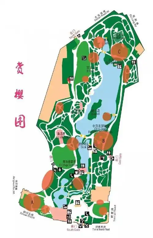 鲁迅公园赏樱路线图攻略