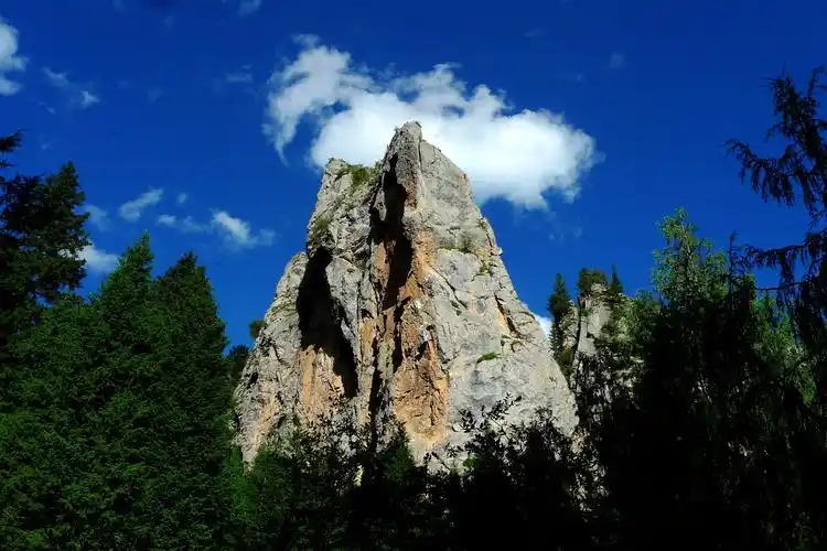 p>则岔石林是碌曲县的三大著名旅游景区之一,也是甘南自治州乃至甘肃