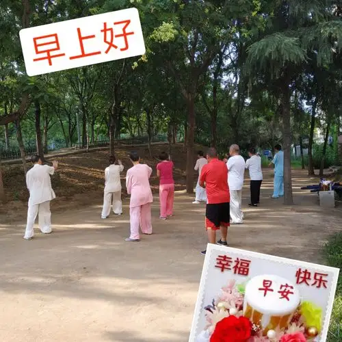 拳友们早上好,天天晨练身体好,吴式太极拳训练基地