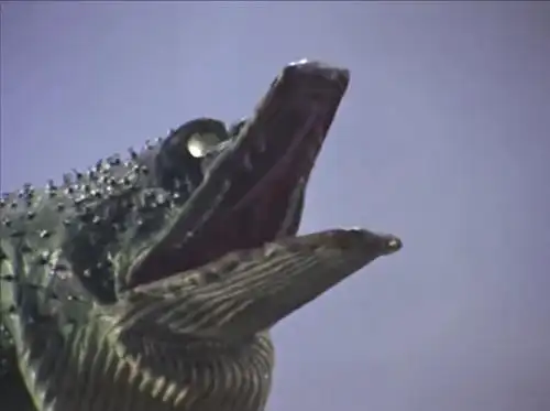 但是也有的怪兽只活在回忆当中,他就是蛤蜊怪兽加玛库基拉,这个怪兽