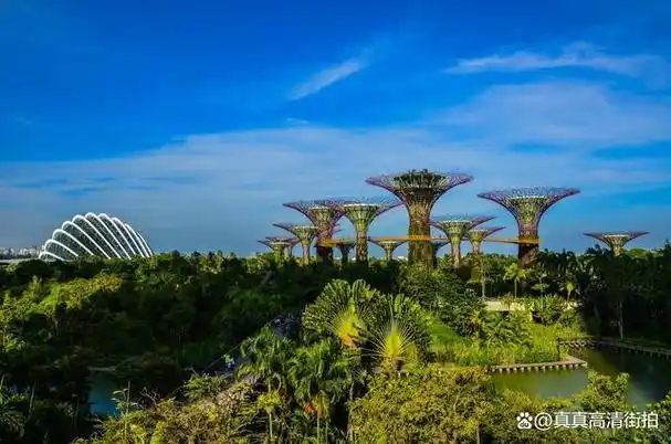 新加坡必去九景,强烈推介