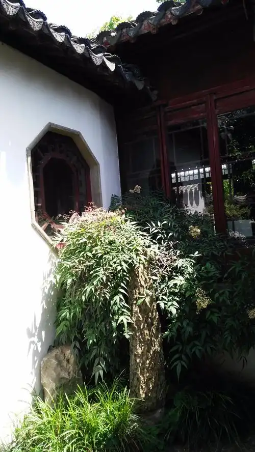 小中见大之奇——苏州曲园