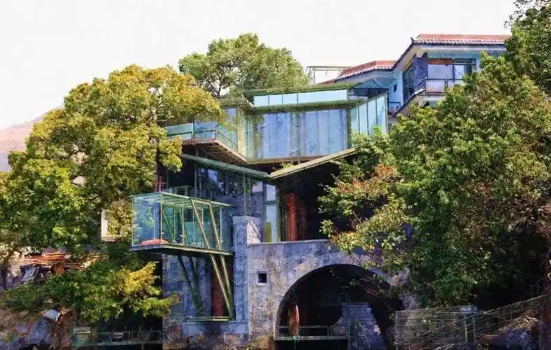 杨丽萍为艺术拒绝生育,赢了事业却输了家庭,到底值得吗?