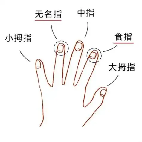 01,手指大战 = 激素大战