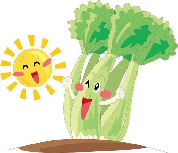 矢量手绘可爱的芹菜